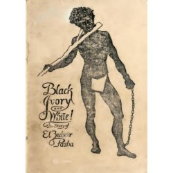 El Zubeir Pasha: The Slaver Offered a Kingdom by the British