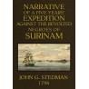 Stedman & Blake's Narrative of Surinam: Slavery & Rebellion